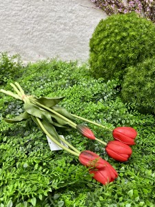 Bukiet tulipanów czerwonych 40  