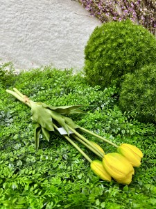 Bukiet tulipanów żółtych 40  