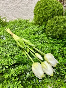 Bukiet tulipanów białych  47 