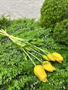 Bukiet tulipanów żółtych  47  