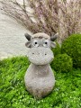 IMG_4803.jpeg