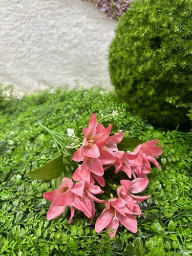 IMG_4869.jpeg