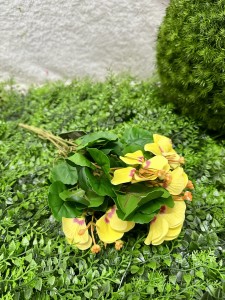 Bratki żółte real touch 36 