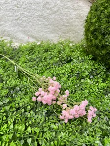 Gipsówka różowa  61  