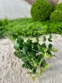 IMG_5043.jpeg