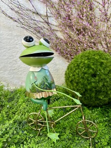 Żaba na rowerze  36