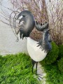IMG_5100.jpeg