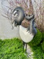 IMG_5101.jpeg
