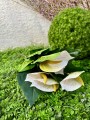 IMG_5118.jpeg