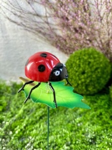 Biedronka na Piku stalowa 47