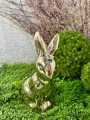 IMG_5148.jpeg
