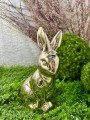 IMG_5149.jpeg