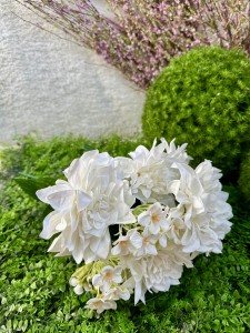 Bukiet dalia biała 54  