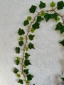 IMG_5191.jpeg