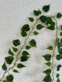 IMG_5193.jpeg