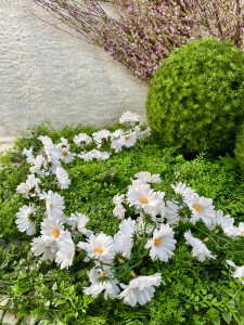 Girlanda Stokrotka 190