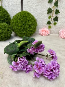 Pelargonia fioletowa 47  