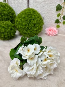 Bukiet Begonia biała  39 