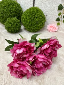 Piwonia bukiet malina 49