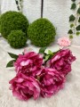 IMG_5620.jpeg