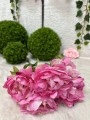 IMG_5624.jpeg