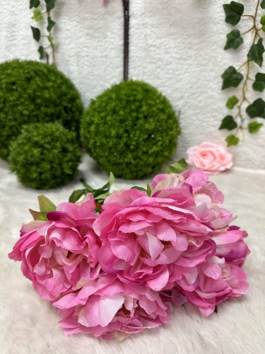 IMG_5624.jpeg