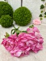 IMG_5625.jpeg