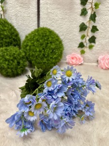 Bukiet margaretka niebieska 42