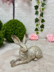 Zając złoty leżący  16