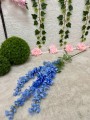 IMG_5939.jpeg