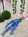 IMG_5940.jpeg
