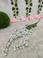 IMG_5942.jpeg