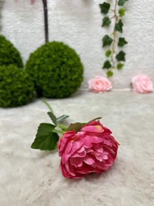 Piwonia fuksja 45   