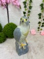 IMG_5966.jpeg