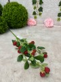 IMG_6043.jpeg