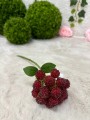 IMG_6045.jpeg