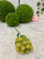 IMG_6047.jpeg