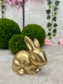 IMG_6060.jpeg