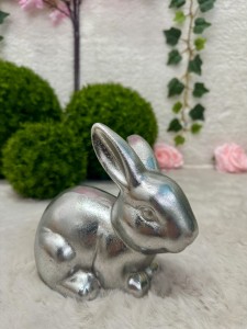 Zając srebrny 16 