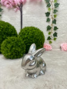 Zając srebrny 12