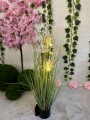 IMG_6147.jpeg