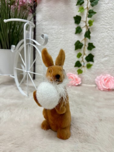 IMG_6257.jpeg