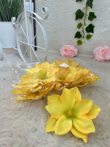 Magnolia wyrobowa żółta 12szt.       