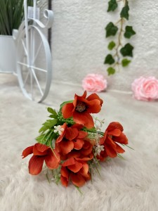 Zawilec pomarańczowy 31  