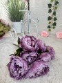 IMG_6578.jpeg