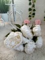 IMG_6581.jpeg