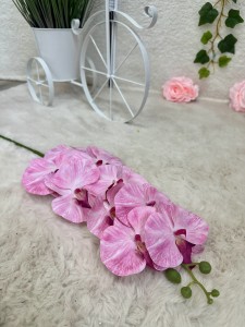 Storczyk różowy 95  