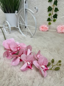 Storczyk pudrowy róż  105 