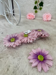 Rudbekia wyrobowa fioletowa  12szt.       