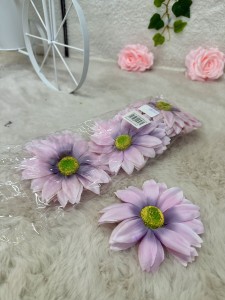 Rudbekia wyrobowa fioletowa  12szt.       